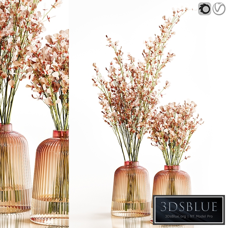 Orchid Oncidium Pink