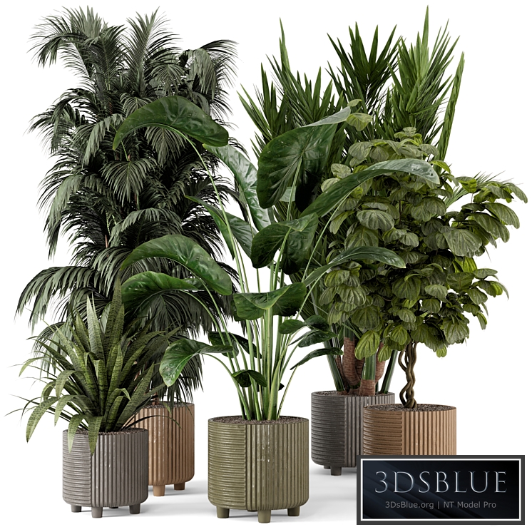Indoor Planters in Cecilia Ficonstone Pot - Set 349