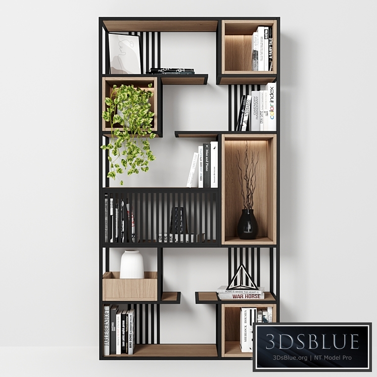 Rack and Bookcase 016