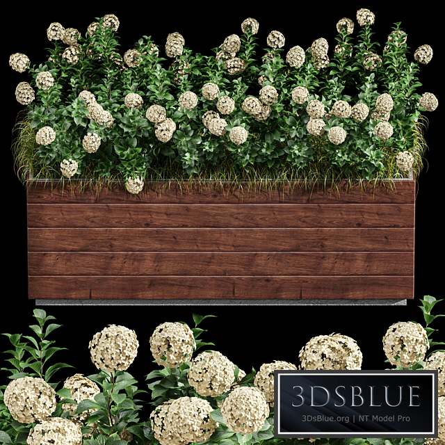 Outdoor Plant Set 001 - Plant Box