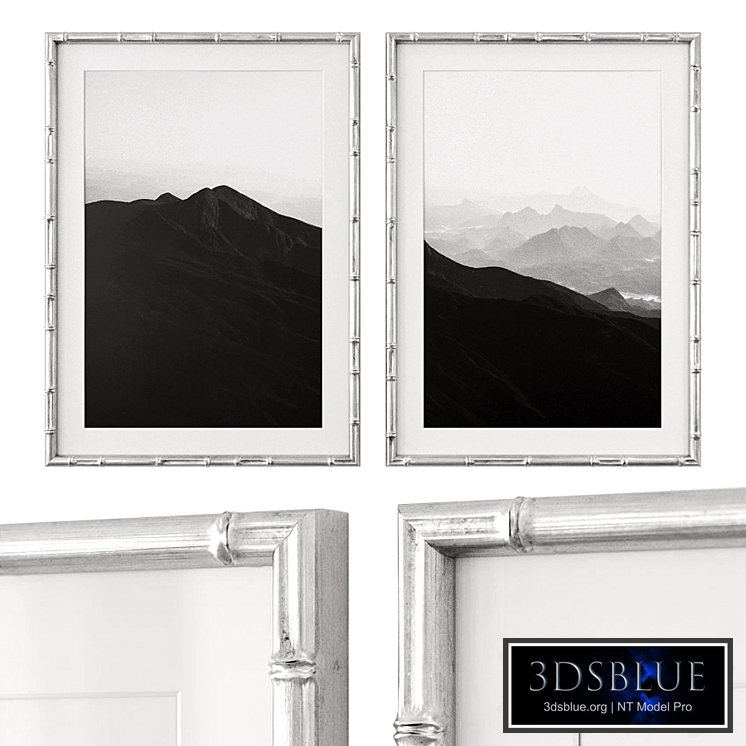 Black and white posters (bw)