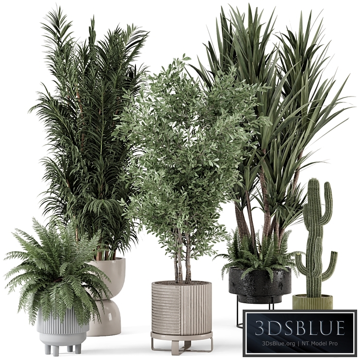 Indoor Plants in Ferm Living Bau Pot Large - Set 362