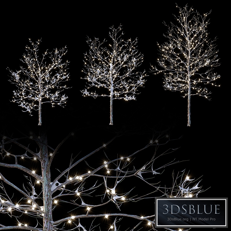 Trees in the snow with a luminous garland