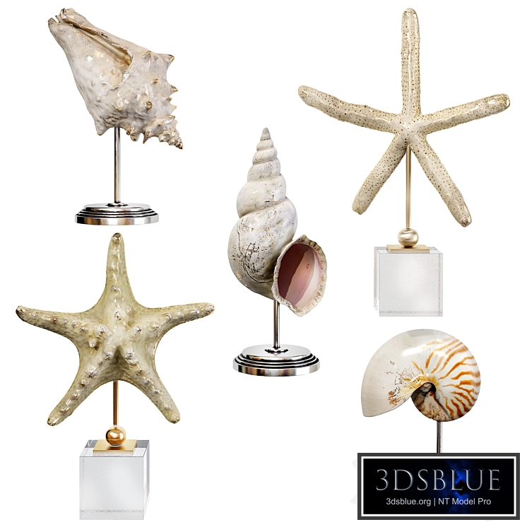 Sea shell decorative set 03