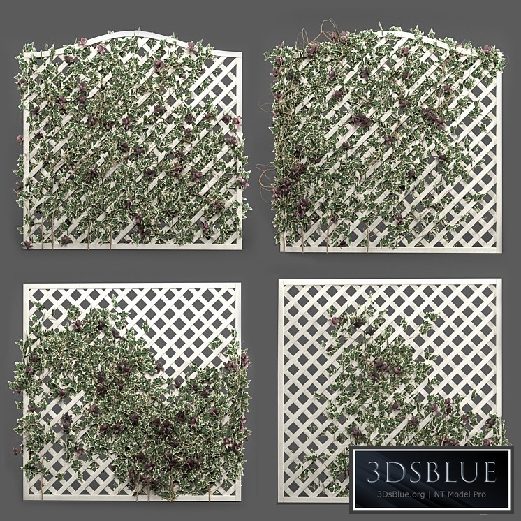 ivy grid panel( 4 different ivy composition)