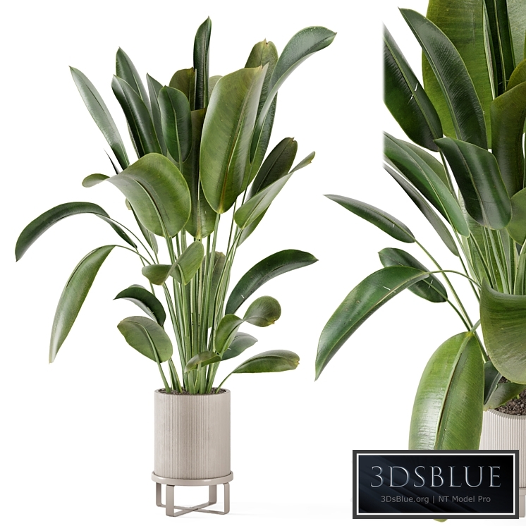 Indoor Plants in Ferm Living Bau Pot Large - Set 378