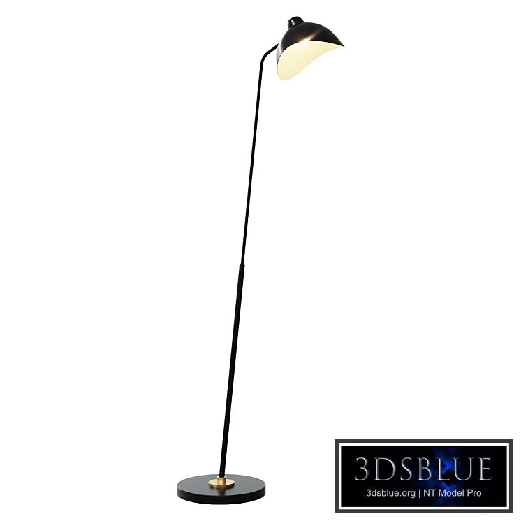 Eichholtz floor lamp, floor lamp