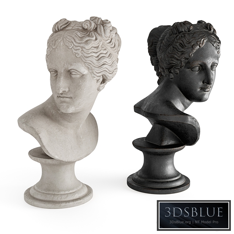 Venus classic bust