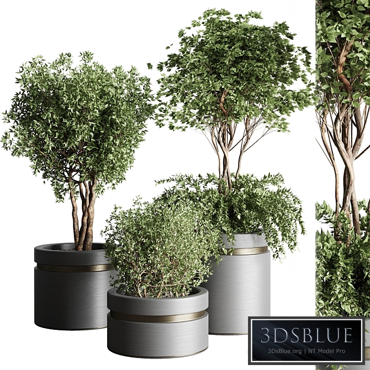 Tree pots and shrubs-bush collection 74 metal vase for outdoor indoor