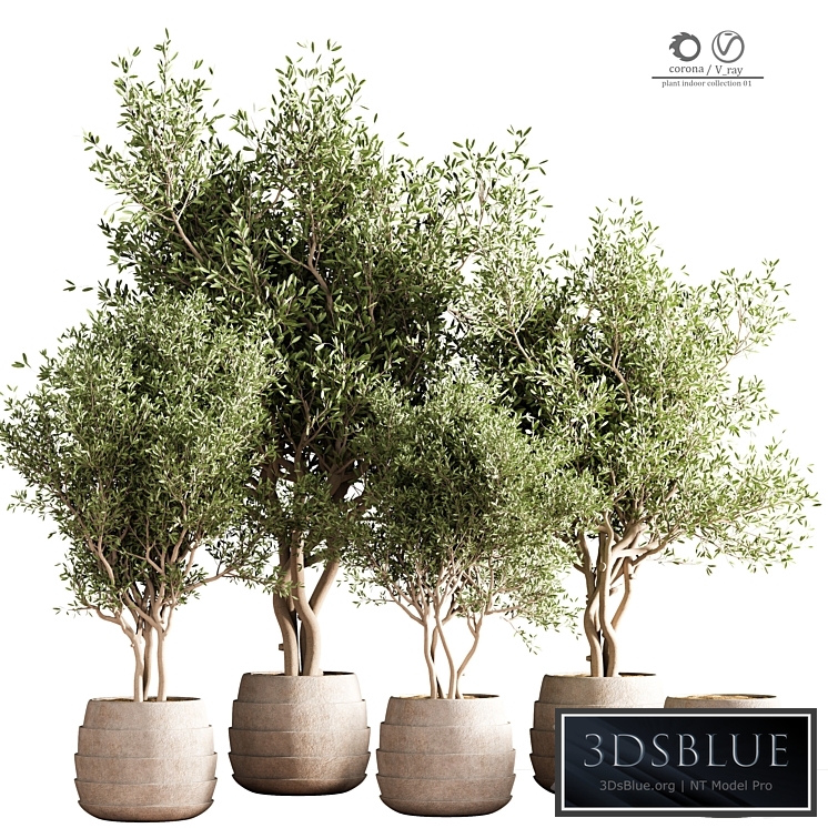 indoor plant stand 40