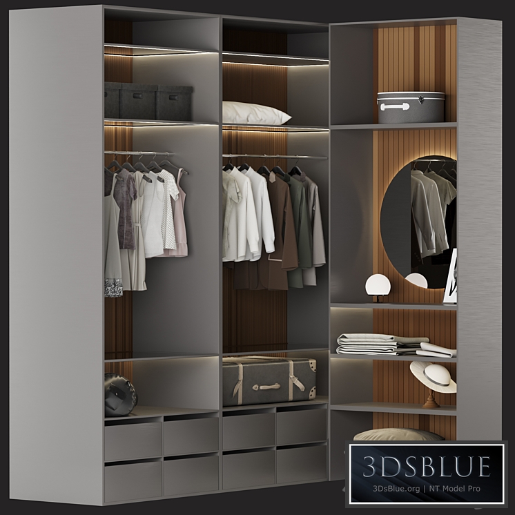 Brown Wardrobe Walk-in Closet Black Glass Door Simple and Luxury