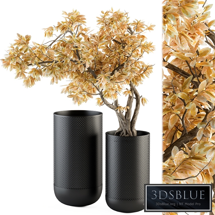 Bouquet Set - Autumn Branch in Black Vase 78