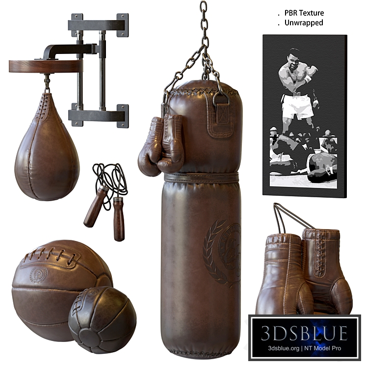 Boxing Equipment