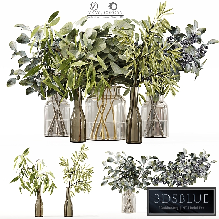 Collection Indoor Plants 013