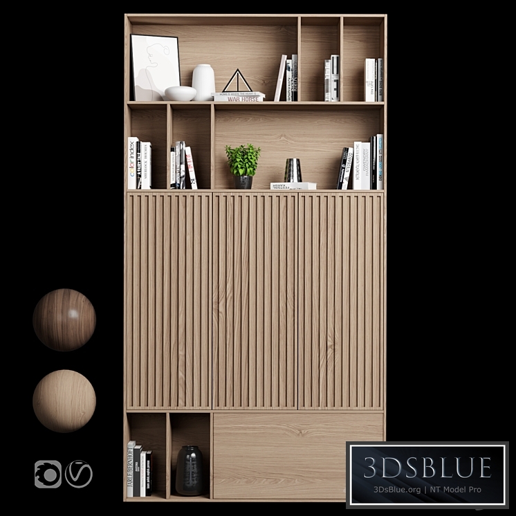 Rack and Bookcase 019