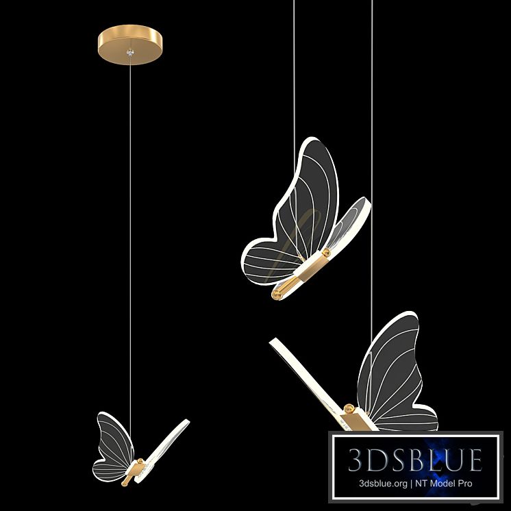 Butterly || Aliexpress