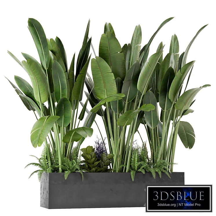 Outdoor Plants in Concrete Pot -Set 423