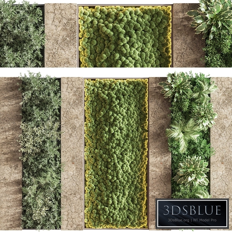 Concrete and Vertical Garden 02