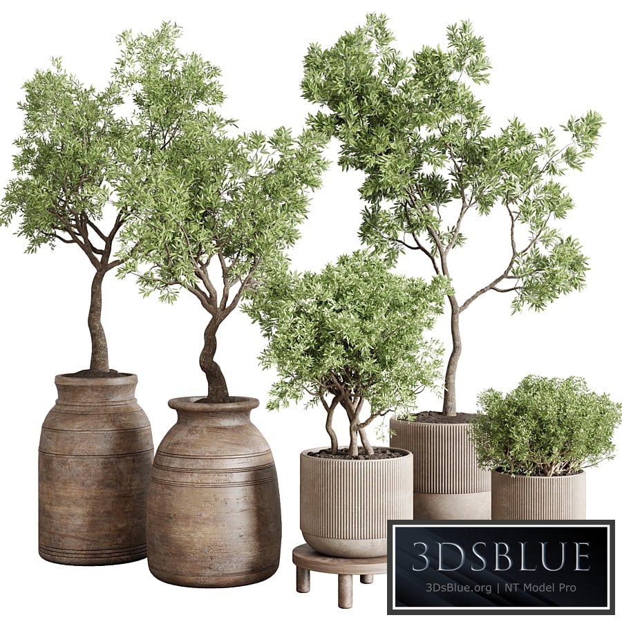 wood collection indoor outdoor plant 141 vase concrete old pot tree vray