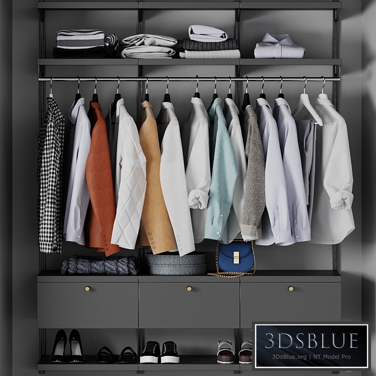 Wardrobe, wall module, clothing