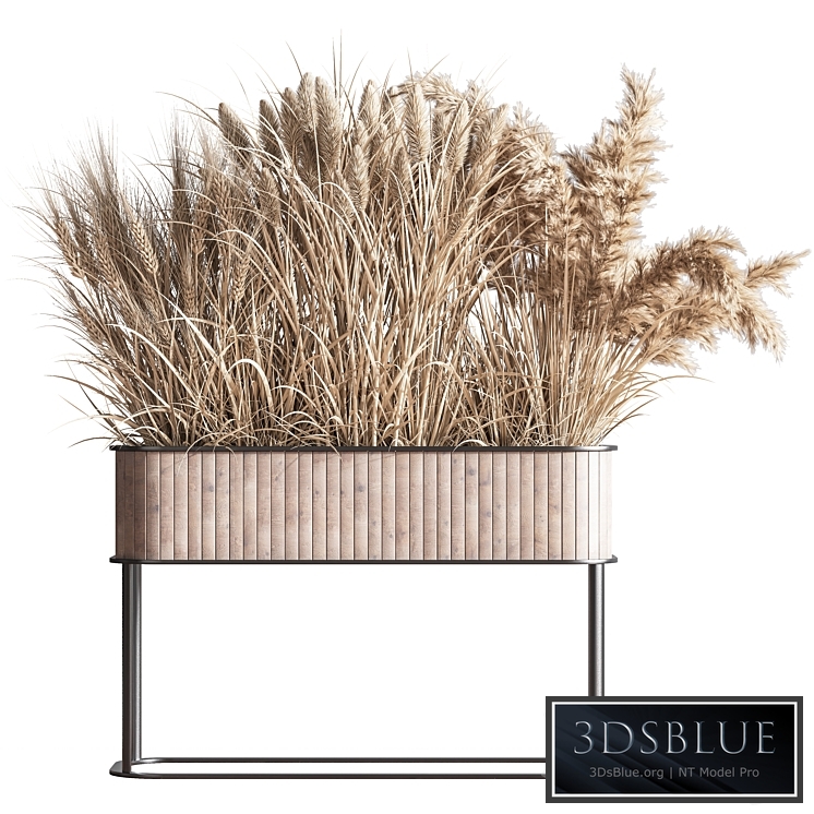 Indoor_Plant_Set_76(Dry_flowers_)