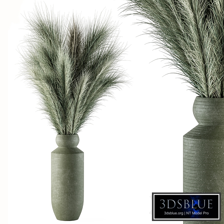 Dry plants 85 - Dried Green Branch