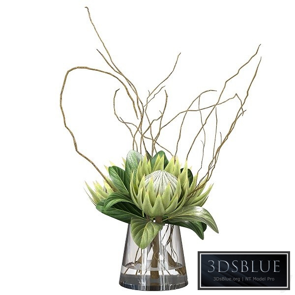 Green bouquet with protea