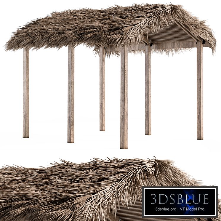 Thatch Umbrella With Palm Leaf 04