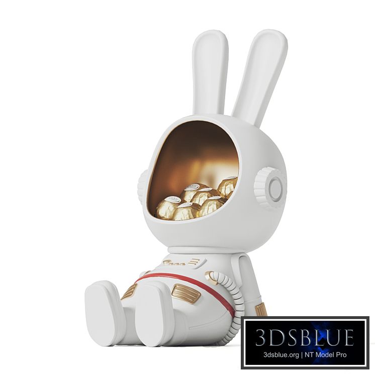 Astronaut storage box