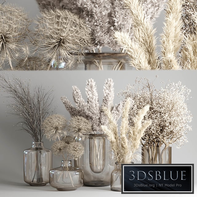 Dry Bouquet Collection 05 - Dried autumn plants and flowers