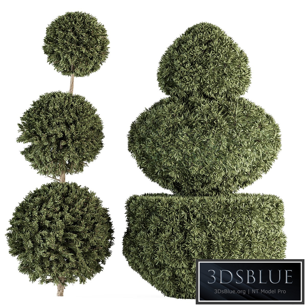 Topiary shape Bush - Bush Set 65