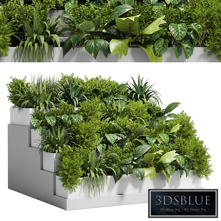 Stairs plant - Collection outdoor indoor plant 78 concrete vase pot fern bush grass