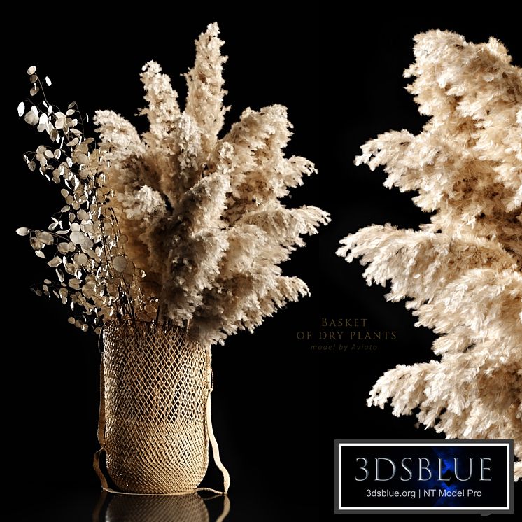 Basket of dry plants