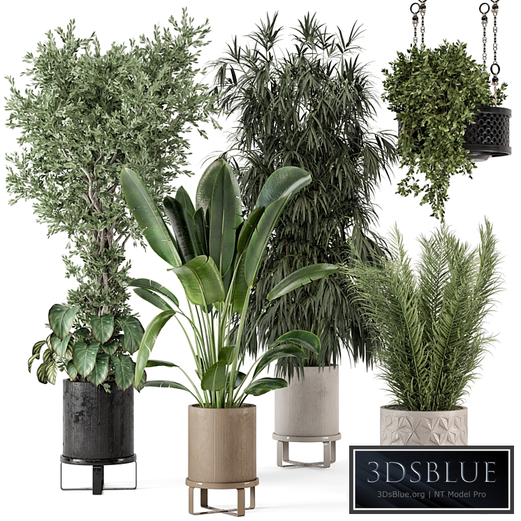 Indoor Plants in Ferm Living Bau Pot Large - Set 474