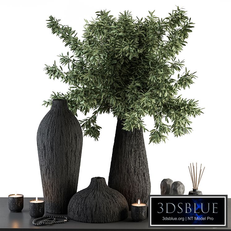 Vase and Plant Green and Black Decorative Set - Set 99