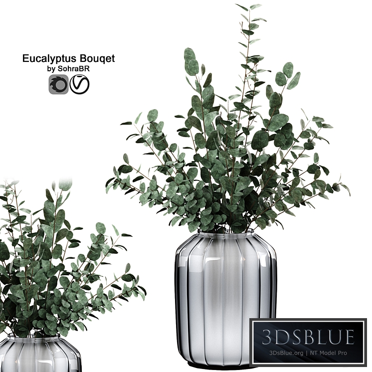 Indoor eucalyptus bouquet with glass vase