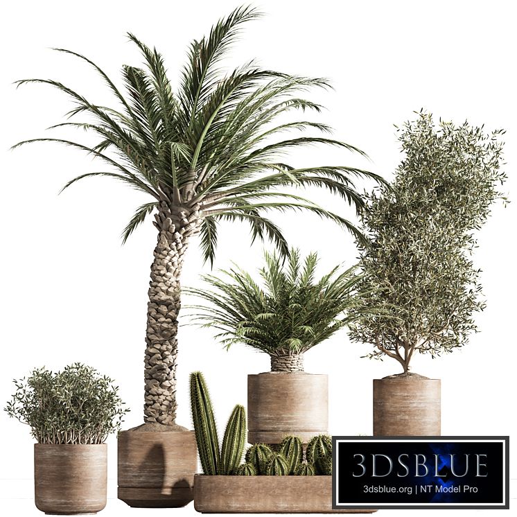 indoor plant set 41