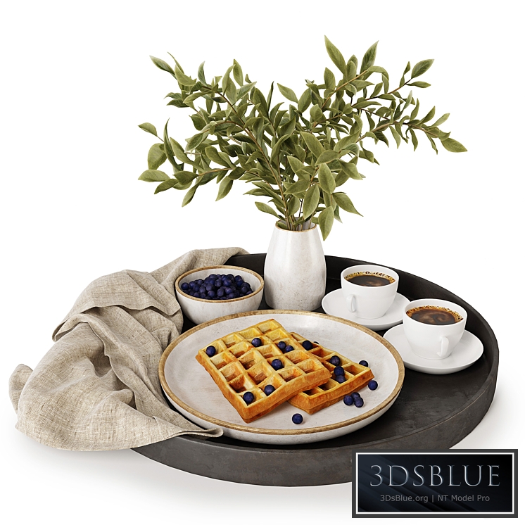 Breakfast on a tray w004