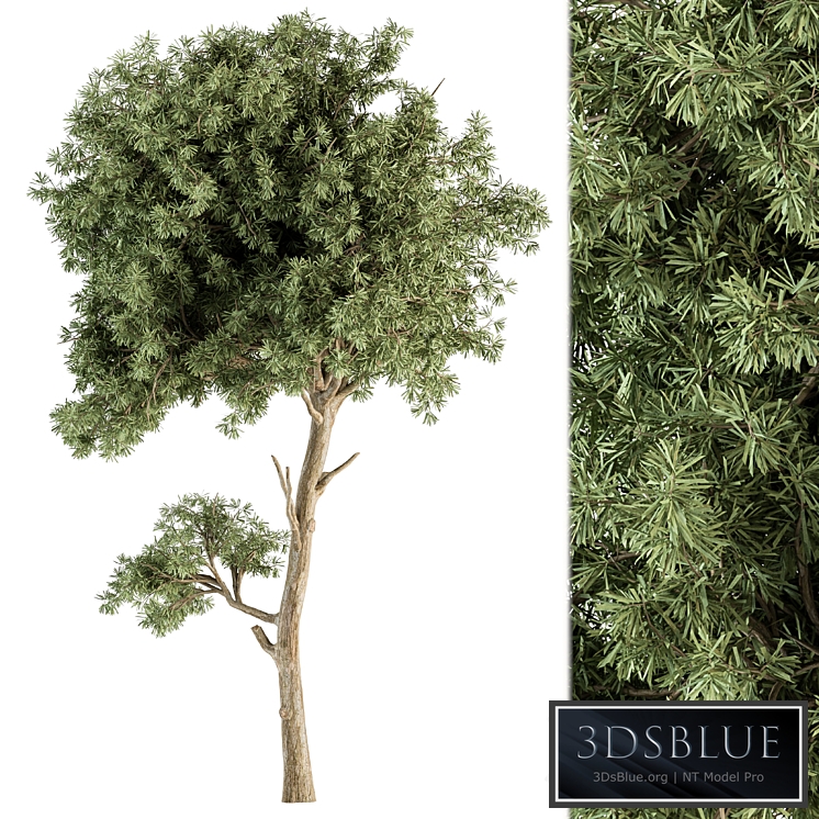 Small Tree Green Maple Needle - Set 71