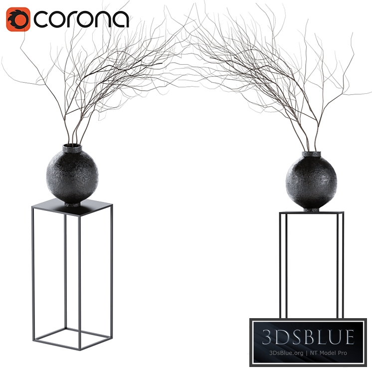 decorative dry plant