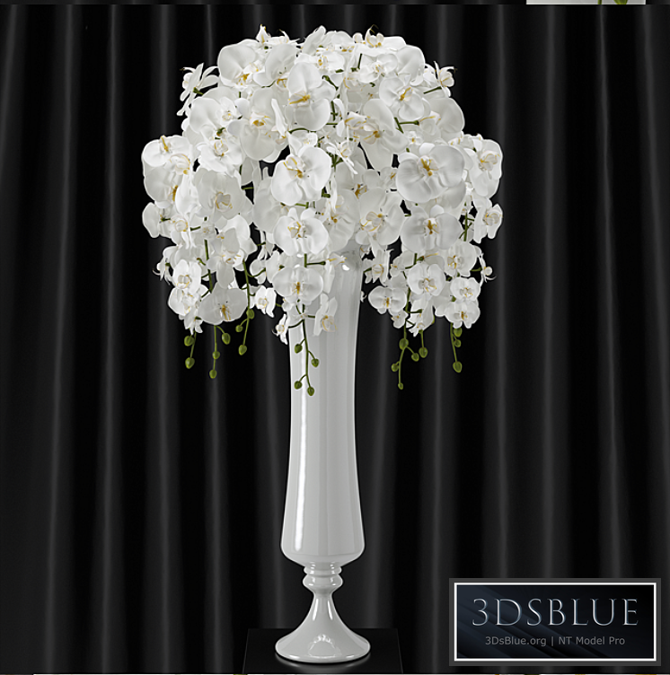 Orchid (phalaenopsis) bouquet