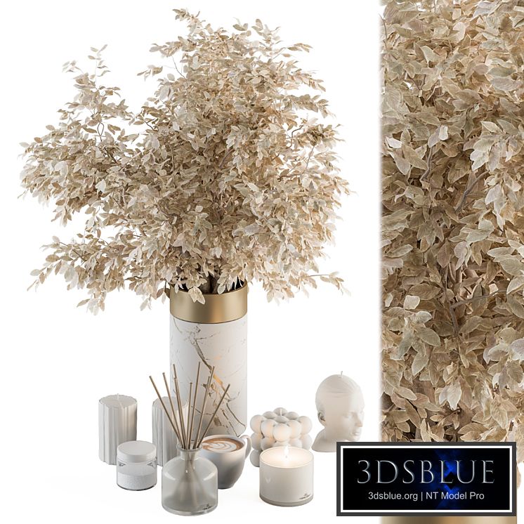 white and Gold Decorative Set with Dried plant - Set 106