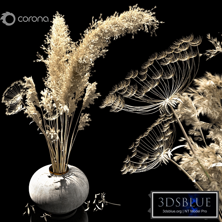 dried flowers 123