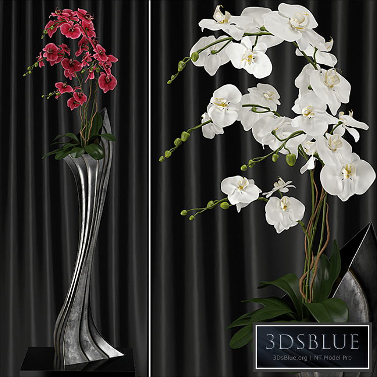 Orchid (phalaenopsis) bouquet 2