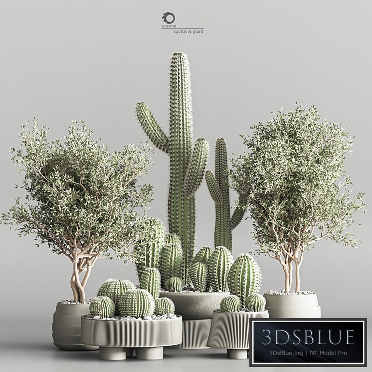 Cactus & plant vol 01