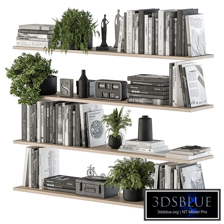 Decorative Set on Shelves and Decor objects - Set 11