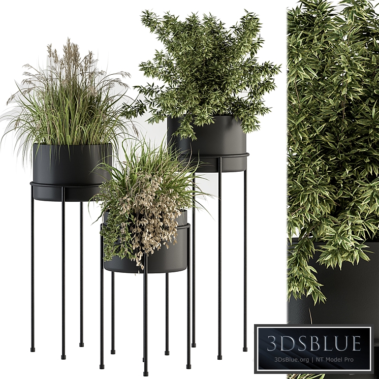 indoor Plant Set 370 - Tree and Plant Set Stand pot