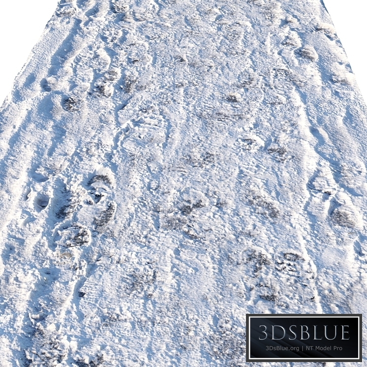 Winter footpath 04 (8 meters)