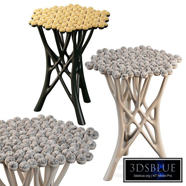 Tansy stool