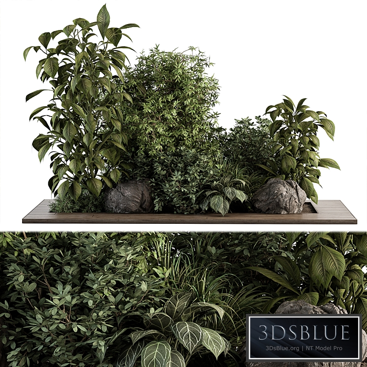 Garden Set Tropical Plants - Outdoor Plants Set 381